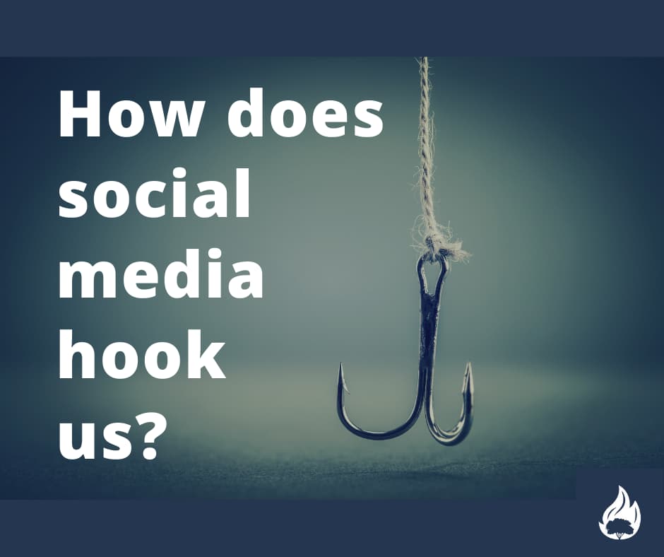 Social Media Hook Statement Examples